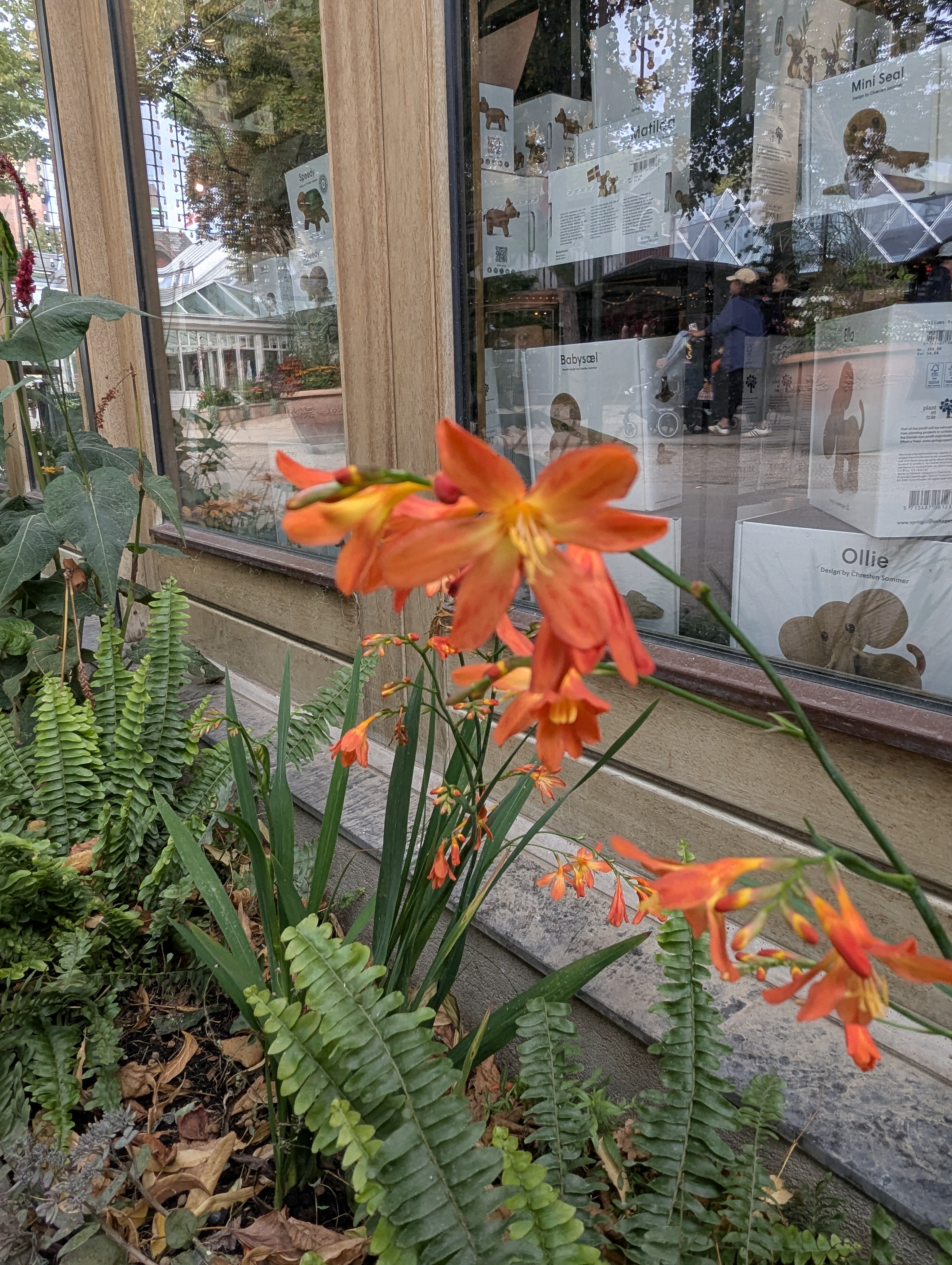 Copenhagen, SSPC, Tivoli, Denmark